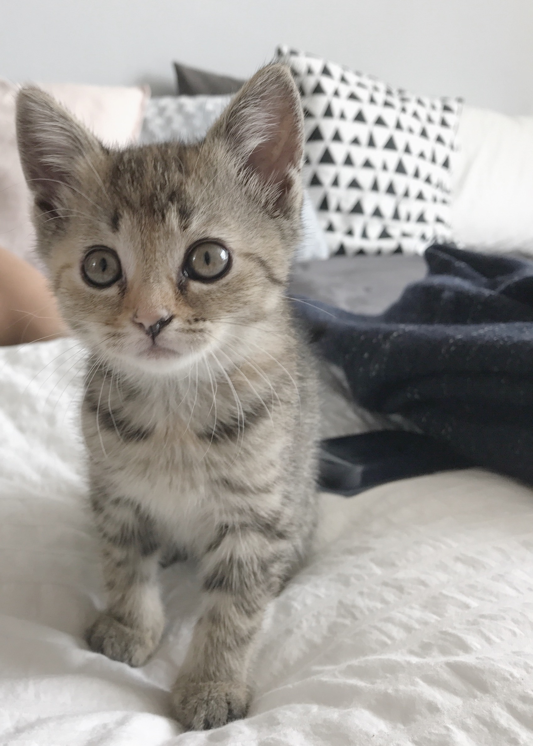 835D0F29-A49F-4C34-AB4A-5DFADC542F8E